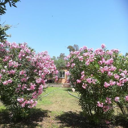 Villa Olia Tortolì Dış mekan fotoğraf