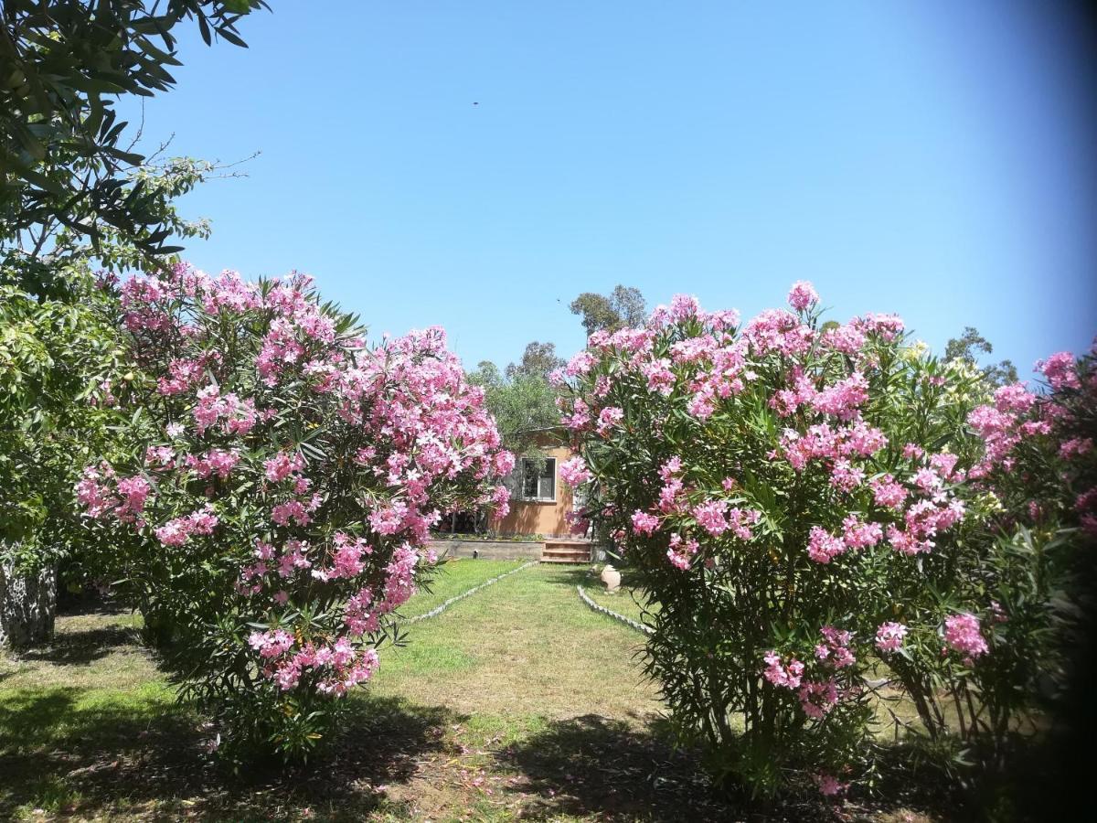Villa Olia Tortolì Dış mekan fotoğraf