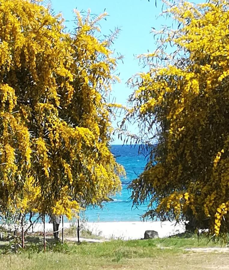Villa Olia Tortolì Dış mekan fotoğraf